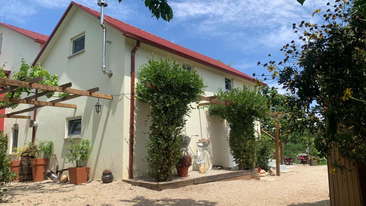 Quinta Vale Salgueiro Apartment Seia Exterior photo